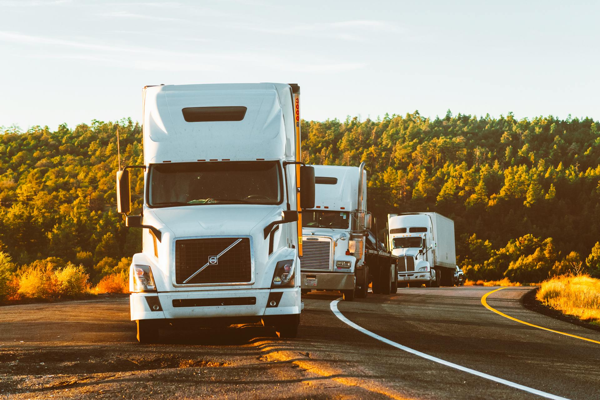 RELYA-GISTICS LLC